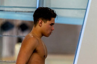 NCAA Swimming & Diving: West Virginia Mountaineers at Pitt Panthers