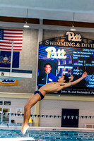 NCAA Swimming & Diving: West Virginia Mountaineers at Pitt Panthers