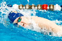 NCAA Swimming & Diving: Florida State Seminoles at Pitt Panthers