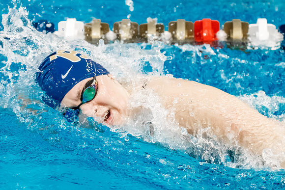 NCAA Swimming & Diving: Florida State Seminoles at Pitt Panthers