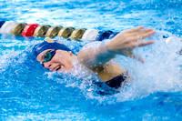 NCAA Swimming & Diving: Florida State Seminoles at Pitt Panthers