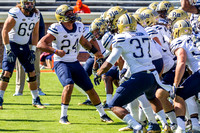 NCAA Football:  Pitt Panthers at Virginia Cavaliers