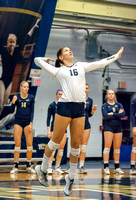 North Carolina Tarheels at Pitt Panthers W Volleyball