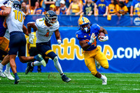 Kent State Golden Flashes at Pitt Panthers