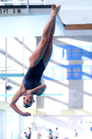 NCAA Swimming & Diving: Pitt Panthers vs JMU, MSU, Miami (FL)