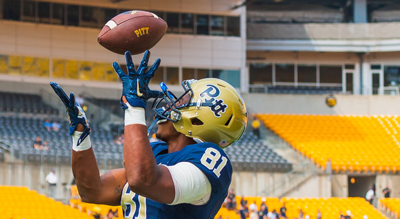 Pitt Panthers vs Youngstown State Penguins