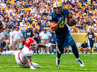 Pitt Panthers vs Youngstown State Penguins Football