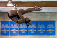 Pitt Panthers Swimming & Diving - Pitt Invitational