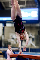 NCAA Gymnastics: North Carolina Tar Heels at Pitt Panthers