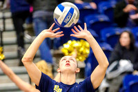NCAA Volleyball: Louisville Cardinals at Pitt Panthers