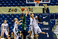 Pitt Panthers vs  Charlotte 49ers