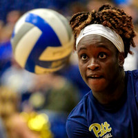 NCAA Volleyball: Louisville Cardinals at Pitt Panthers