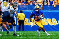 Kent State Golden Flashes at Pitt Panthers