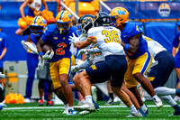 Kent State Golden Flashes at Pitt Panthers