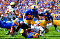 NCAA Football: Wofford Terriers at Pitt Panthers
