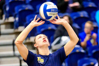 NCAA Volleyball: Louisville Cardinals at Pitt Panthers
