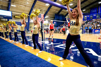NCAA Volleyball: Louisville Cardinals at Pitt Panthers
