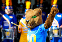 NCAA Football: UMass Minutemen at Pitt Panthers