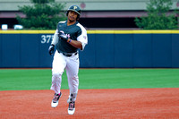 NCAA Baseball:  Louisville Cardinals at Pitt Panthers