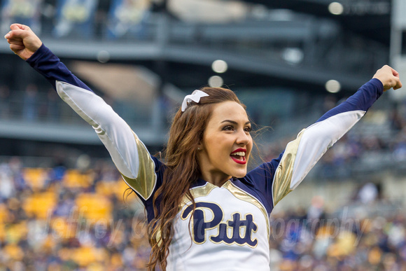 NCAA Football: Georgia Tech Yellow Jackets  at Pitt Panthers