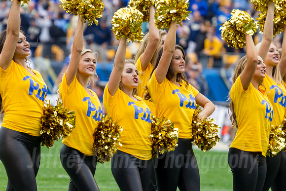NCAA Football: Georgia Tech Yellow Jackets  at Pitt Panthers