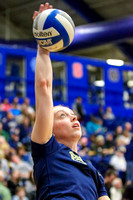 NCAA Volleyball: Louisville Cardinals at Pitt Panthers