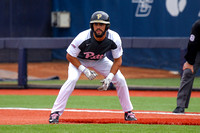 NCAA Baseball:  Louisville Cardinals at Pitt Panthers