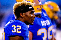NCAA Football: Pitt Panthers vs Clemson Tigers