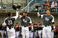 NCAA Baseball:  Louisville Cardinals at Pitt Panthers