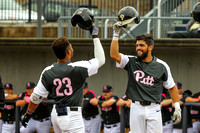 NCAA Baseball:  Louisville Cardinals at Pitt Panthers