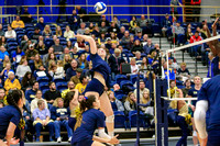 NCAA Volleyball: Louisville Cardinals at Pitt Panthers