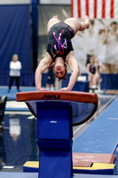 NCAA Gymnastics: North Carolina Tar Heels at Pitt Panthers