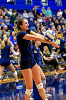 NCAA Volleyball: Louisville Cardinals at Pitt Panthers