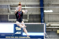 NCAA Gymnastics: North Carolina Tar Heels at Pitt Panthers