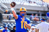NCAA Football: Youngstown State Penguins at Pitt Panthers