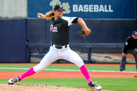 NCAA Baseball:  Louisville Cardinals at Pitt Panthers