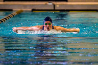 Pitt Panthers Swimming & Diving - Pitt Invite