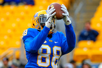 NCAA Football: Virginia Tech Hokies at Pitt Panthers