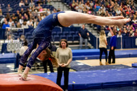 NCAA Gymnastics: West Virginia Mountaineers at Pitt Panthers
