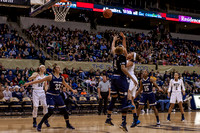 Pitt Panthers vs Fighting Irish Notre Dame Women's Basketball