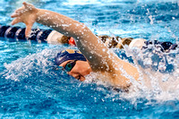 NCAA Swimming & Diving: Florida State Seminoles at Pitt Panthers