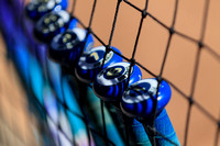 NCAA Softball: Virginia Tech Hokies at Pitt Panthers