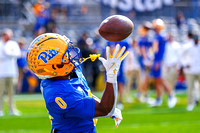 NCAA Football: Cal Golden Bears at Pitt Panthers