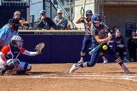 Pitt Panthers vs Virginia Cavaliers Softball