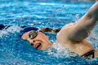 NCAA Swimming & Diving: Florida State Seminoles at Pitt Panthers