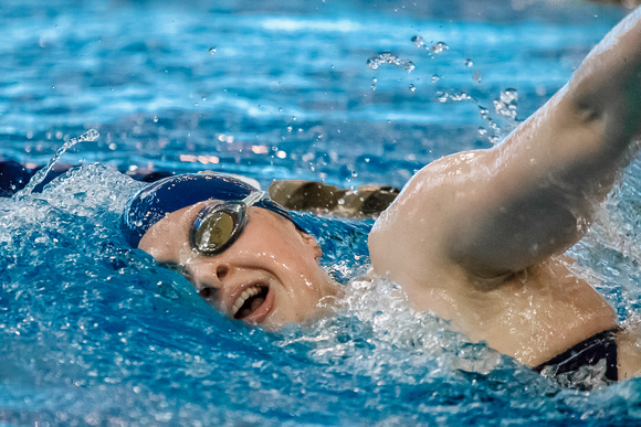 NCAA Swimming & Diving: Florida State Seminoles at Pitt Panthers