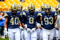 NCAA Football: Georgia Tech Yellow Jackets at Pitt Panthers