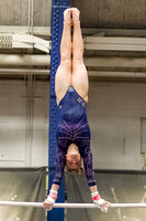 NCAA Gymnastics: West Virginia Mountaineers at Pitt Panthers