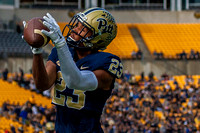 Notre Dame Fighting Irish at Pitt Panthers Football