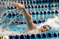 NCAA Swimming & Diving: Florida State Seminoles at Pitt Panthers